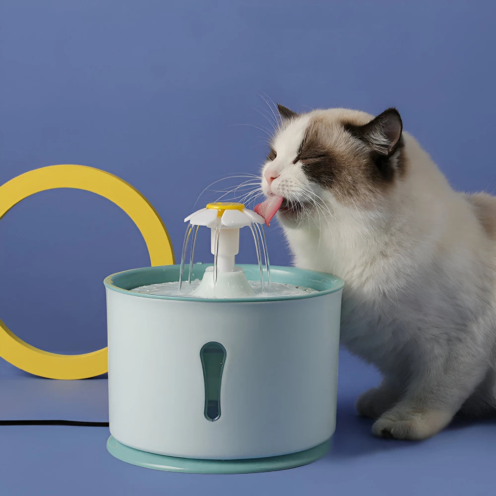 2.4L Cat Water Fountain with LED Light and USB Charging