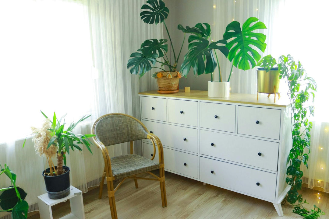 Cozy Home Aesthetic: Budget-Friendly Decor Ideas for 2026