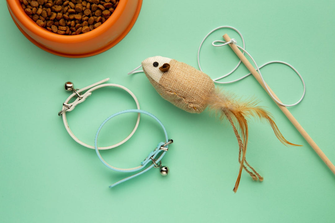 Pet Play & Safety: How to Choose Interactive Toys That Actually Keep Your Cat Engage