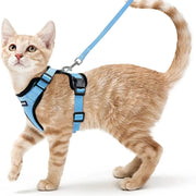 cat harness and leash, view 6 - MRSLM