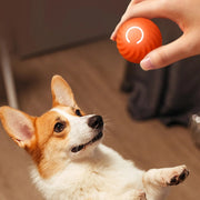 interactive smart dog toy ball, view 4 - MRSLM