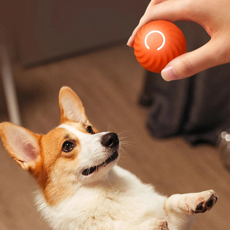 interactive smart dog toy ball, view 4 - MRSLM