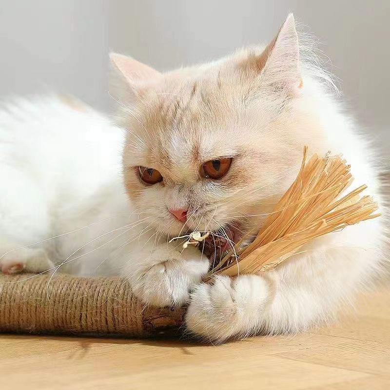 natural silvervine catnip sticks, view 6 - MRSLM