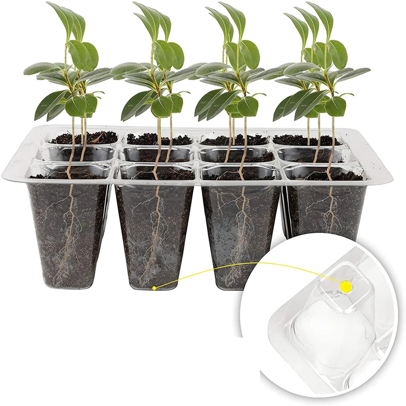 12-cell seedling tray with humidity dome, view 7 - MRSLM