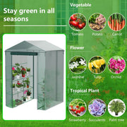 walk-in greenhouse cover, view 6 - MRSLM