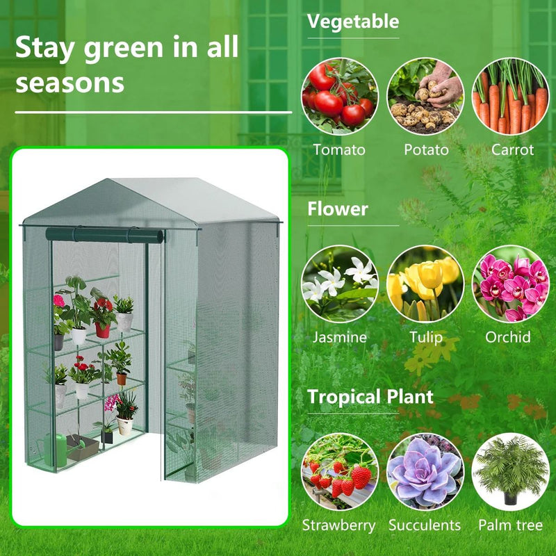 walk-in greenhouse cover, view 6 - MRSLM