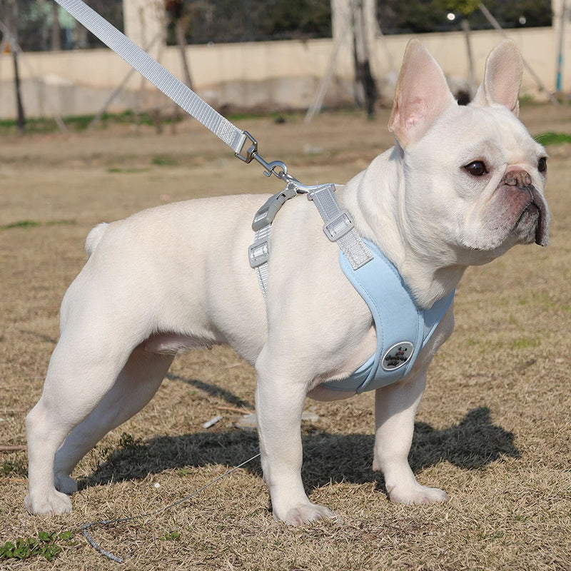 adjustable no-pull dog harness set, view 8 - MRSLM