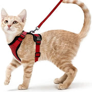 cat harness and leash, view 12 - MRSLM