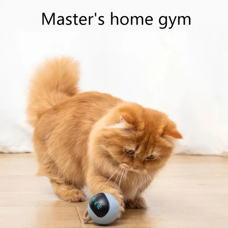 interactive cat ball toy, view 8 - MRSLM