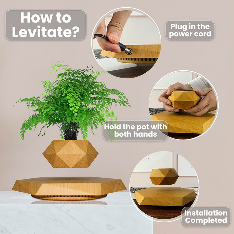 Floating Plant Pot Levitating Plant Pot for Succulents