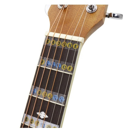 Guitar Fretboard Note Stickers for 6 and 4 String | MRSLM
