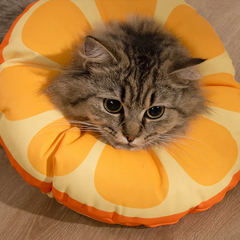 orange fruit neck collar for cats, view 6 - MRSLM