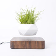 moon levitating plant led light, view 12 - MRSLM