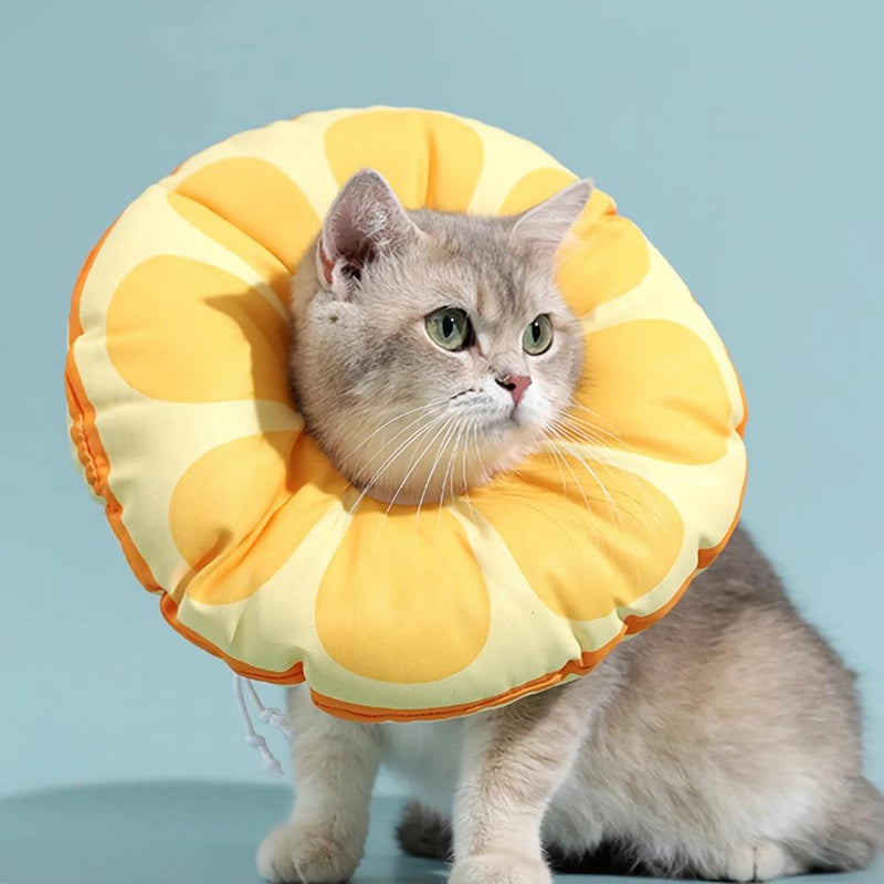 orange fruit neck collar for cats, view 3 - MRSLM