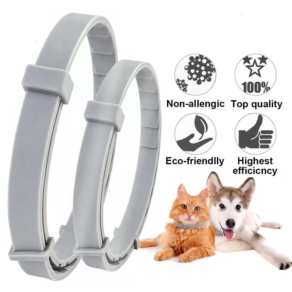 8-Month Protection Anti Flea & Tick Collar for Small Cats and Dogs