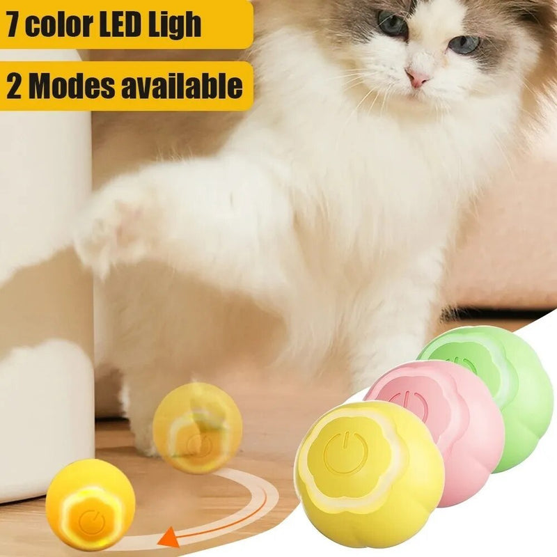 LED cat toy ball, view 5 - MRSLM