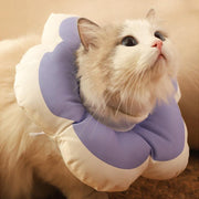 cat flower collar - MRSLM