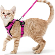cat harness and leash, view 2 - MRSLM