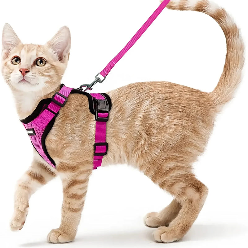 cat harness and leash, view 2 - MRSLM