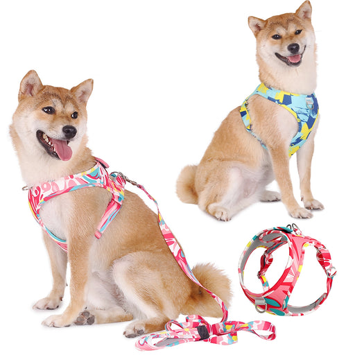personalized LED light dog and cat harness - MRSLM