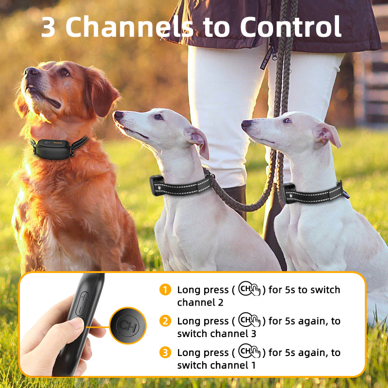 electric dog training collar, view 7 - MRSLM