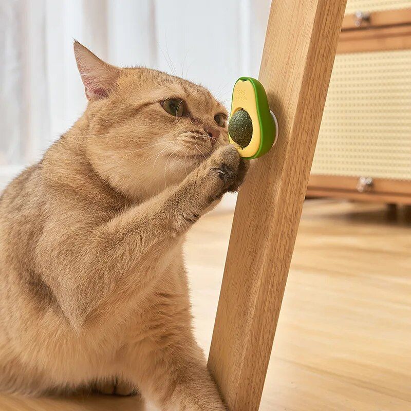 avocado catnip lickable toy ball, view 7 - MRSLM