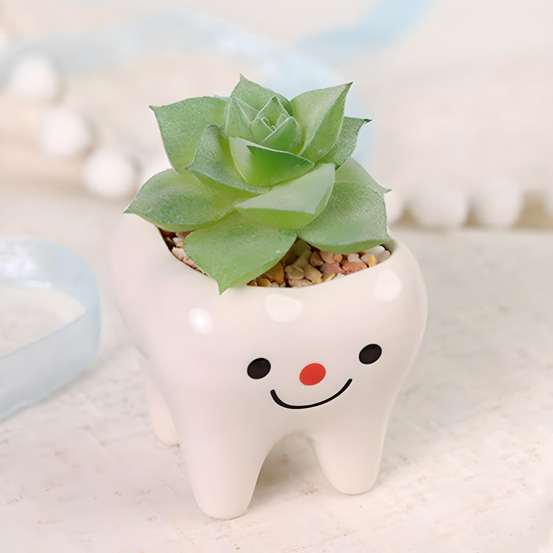 Charming Ceramic Tooth-Shaped Planter for Succulents and Cacti