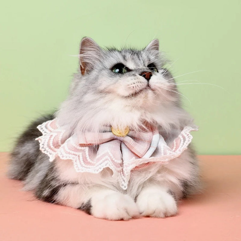 cute lace bowtie pet bib, view 4 - MRSLM