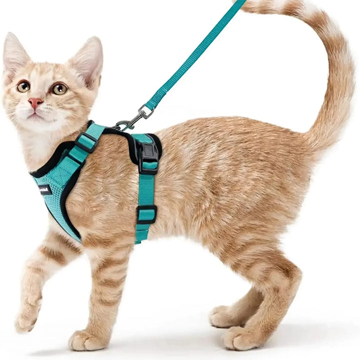 Escape-Proof Cat Harness & Leash