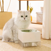cat water fountain - MRSLM