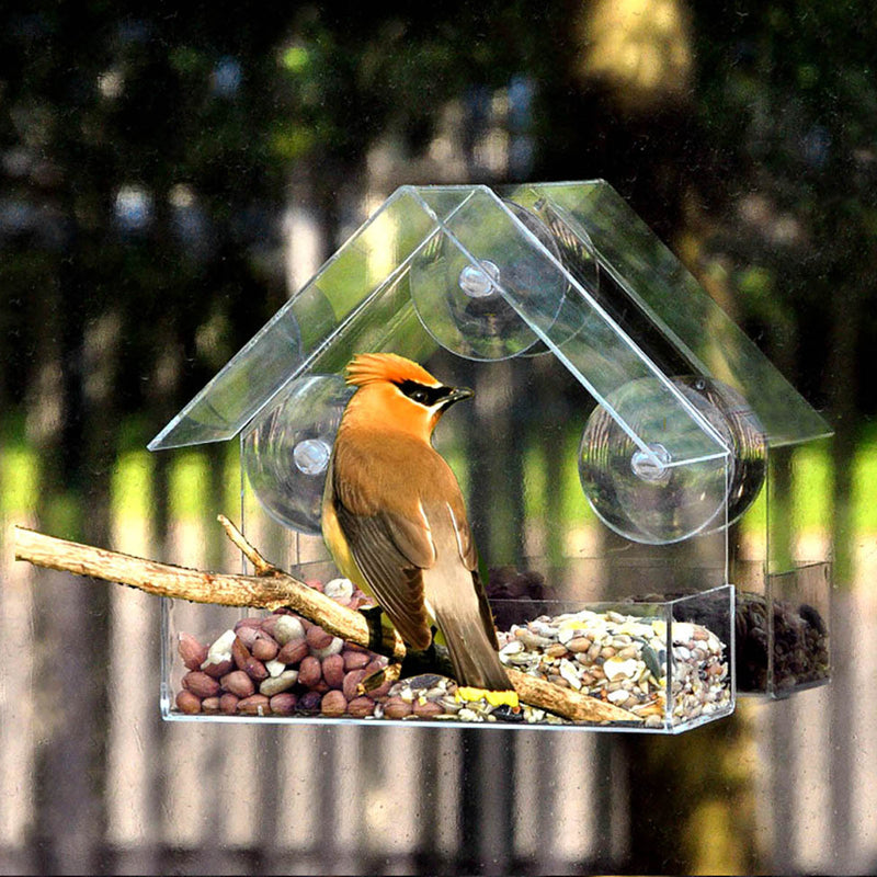 Wildvogelfutterhaus am Fenster