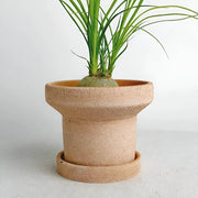 terracotta water pipe planter with tray, view 3 - MRSLM