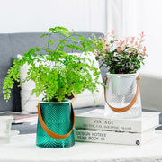 self-watering succulent planter, view 6 - MRSLM