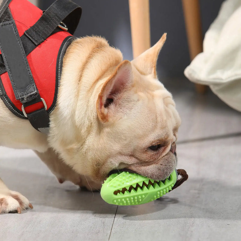 rubber chew ball for dogs, view 6 - MRSLM
