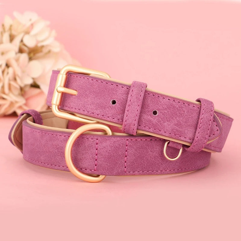 soft leather padded dog collar, view 2 - MRSLM