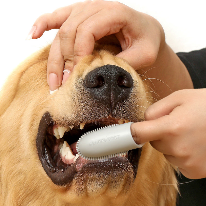 pet finger toothbrush, view 6 - MRSLM