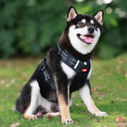 adjustable reflective dog harness, view 6 - MRSLM