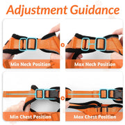 cat harness and leash, view 21 - MRSLM