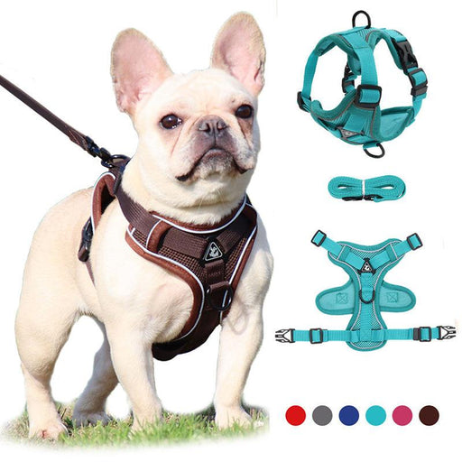 no-pull dog harness and leash set - MRSLM