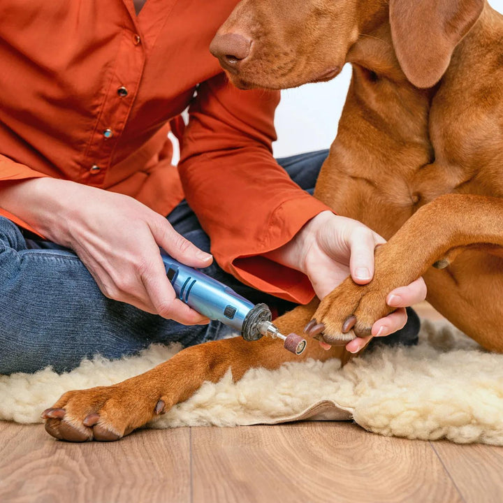 Rechargeable Electric Dog Nail Grinder