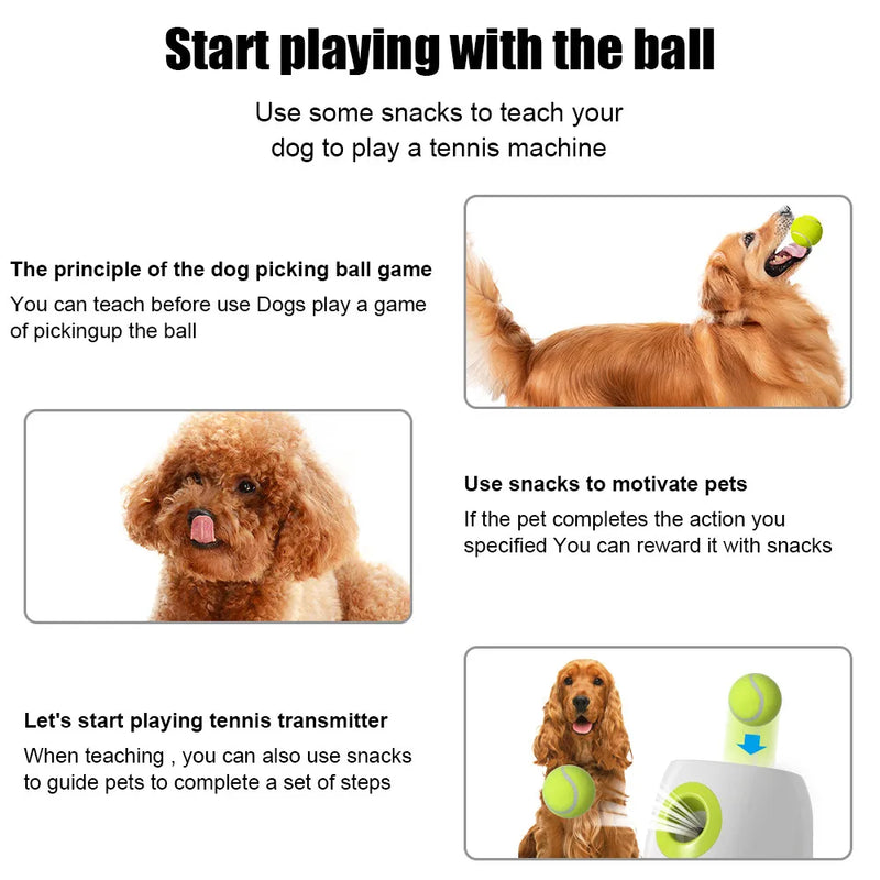 Brinquedo interativo para cães: Lançador automático de bolas de tênis