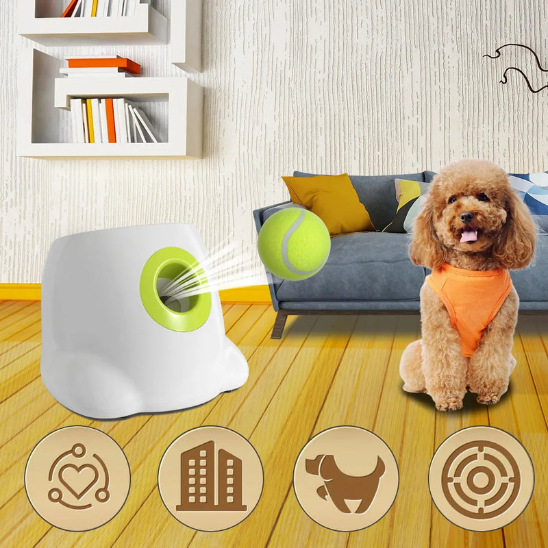 Brinquedo interativo para cães: Lançador automático de bolas de tênis