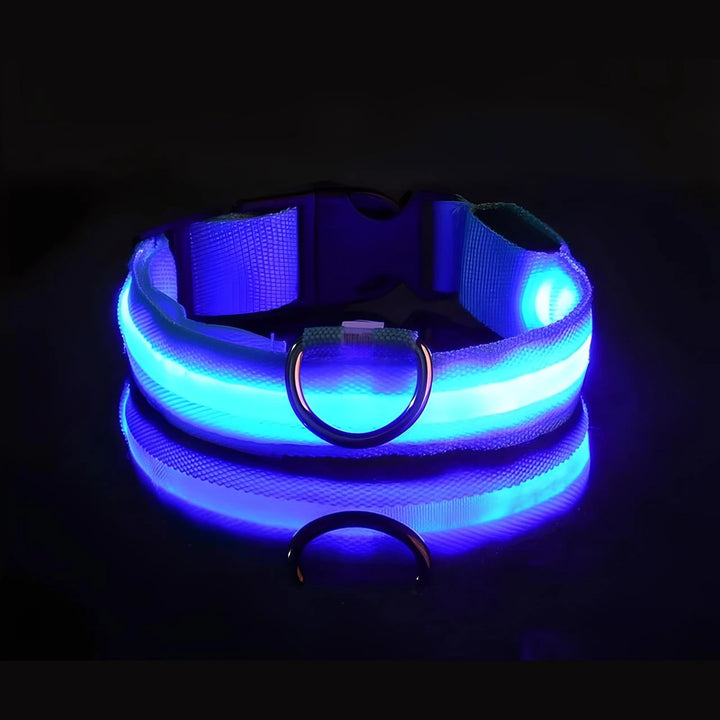 Adjustable LED Dog Collar - USB Rechargeable, Flashing Safety Light, Multiple Sizes