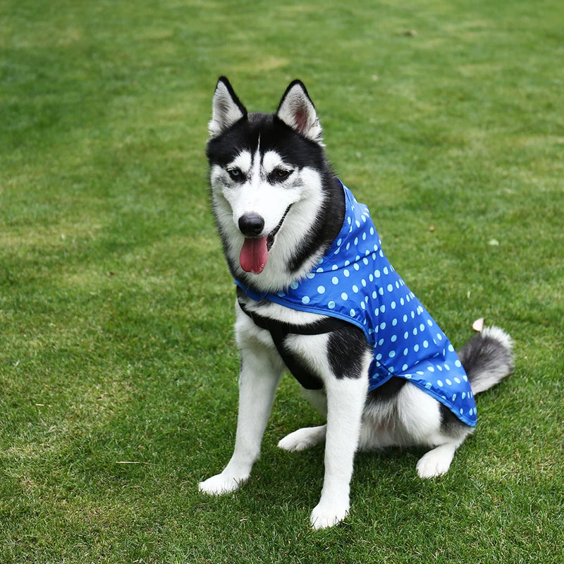 waterproof dog and cat raincoat, view 2 - MRSLM