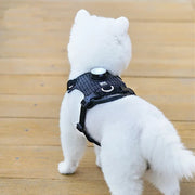 adjustable led safety harness for pets, view 4 - MRSLM