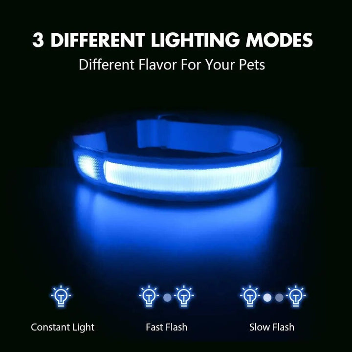 Adjustable LED Dog Collar - USB Rechargeable, Flashing Safety Light, Multiple Sizes