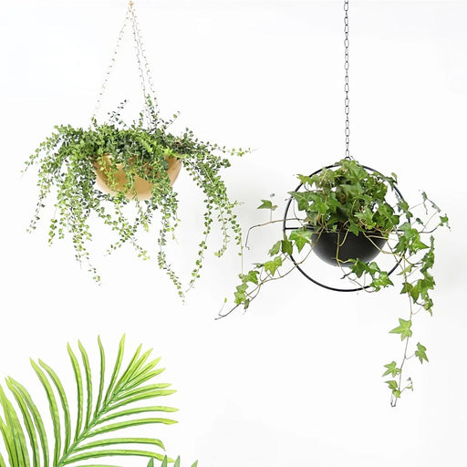 iron hanging flower pot - MRSLM