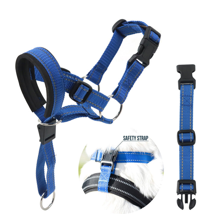 Reflective Nylon Dog Muzzle and Leash Set with Adjustable Fit