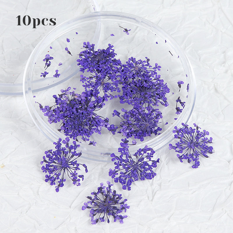 Conjunto de Decorações de Unhas com Flores Secas 3D