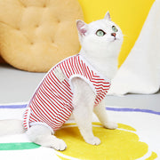 kitten recovery suit - MRSLM